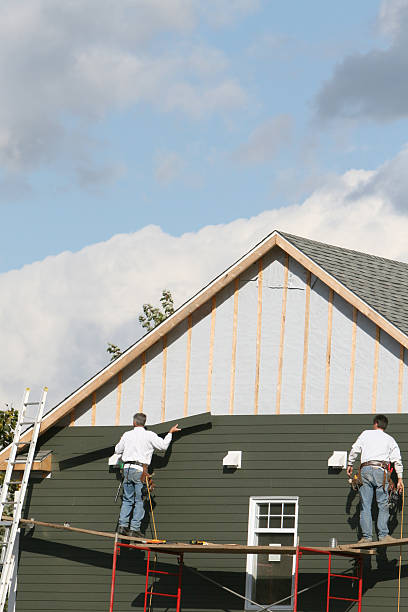 Best Steel Siding Installation  in Sutton Alpine, AK